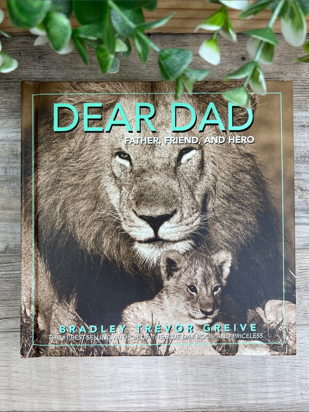 Dear Dad: Father, Friend, and Hero Hardcover Book by Bradley Trevor Greive NEW